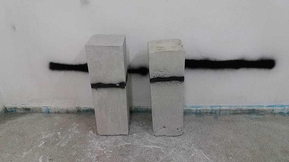 13178825_10208900586769254_2969891742600911387_n