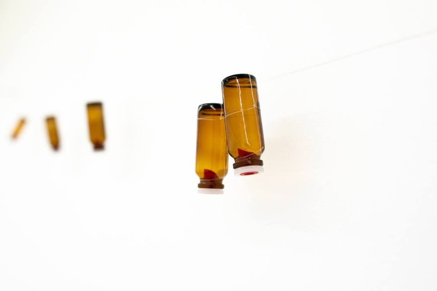 37258915_1797589053661566_9223161961414393856_o